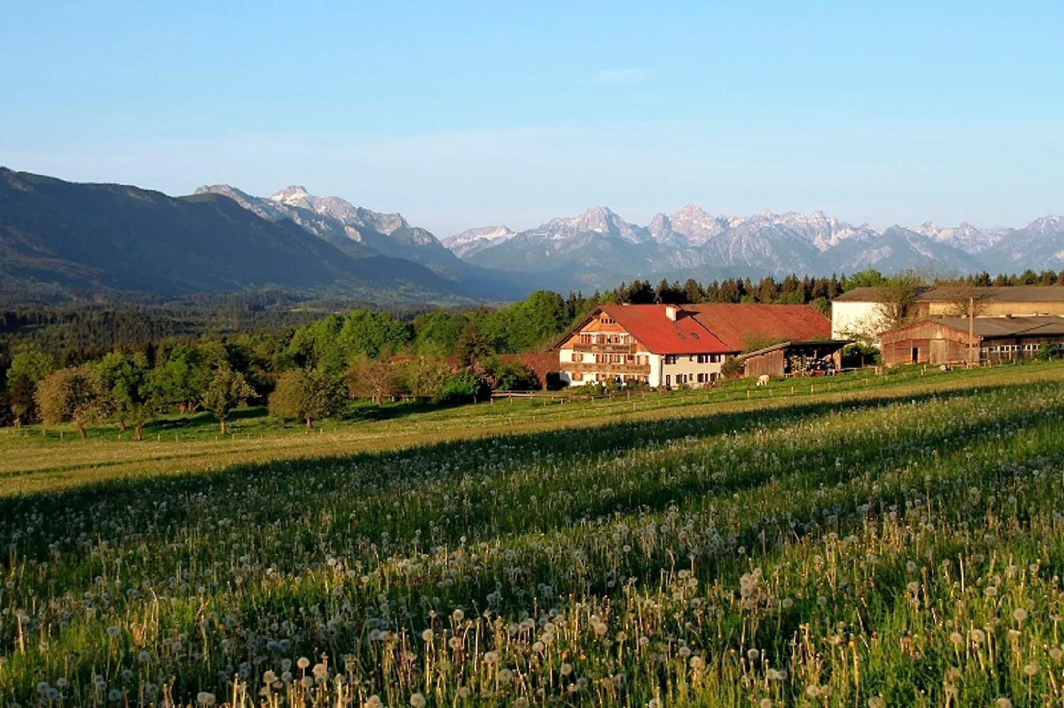Kochhof Apartment Wildsteig